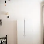 Petri Limburg 림부르크안더란